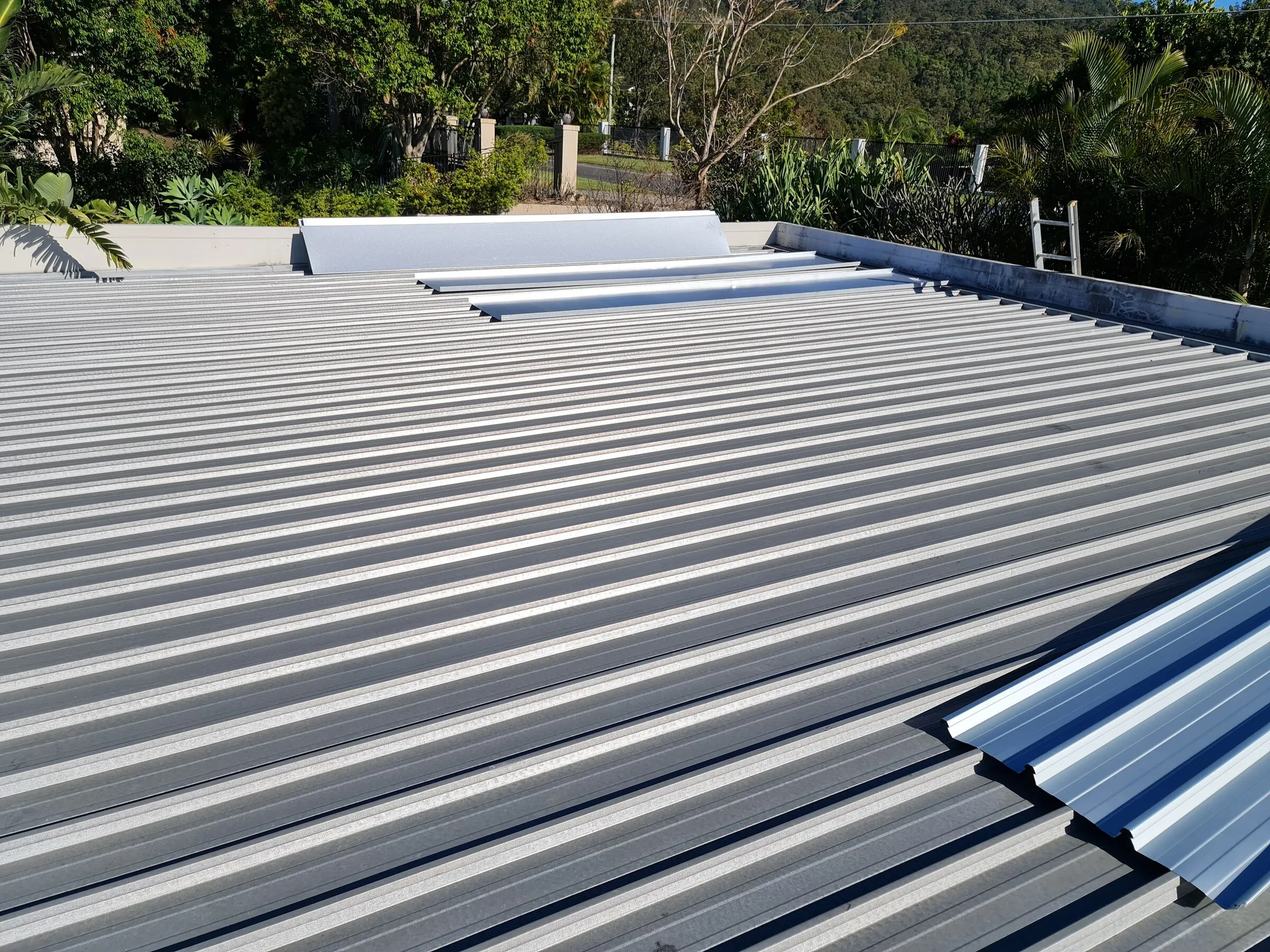 New roof sheeting laid across the run, with the capping back down and the rusted sheets gone.